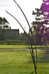 two longbows on bow stands